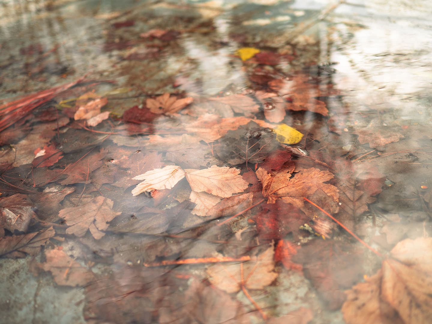 Lo que el agua guarda